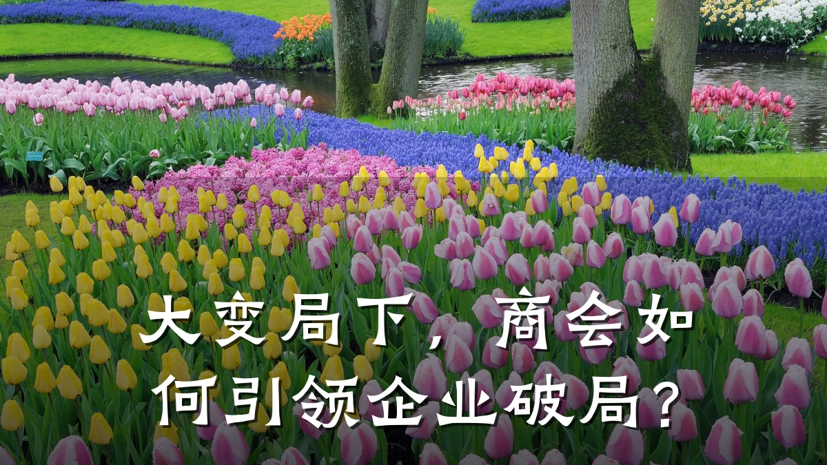 大变局下，商会如何引领企业破局？