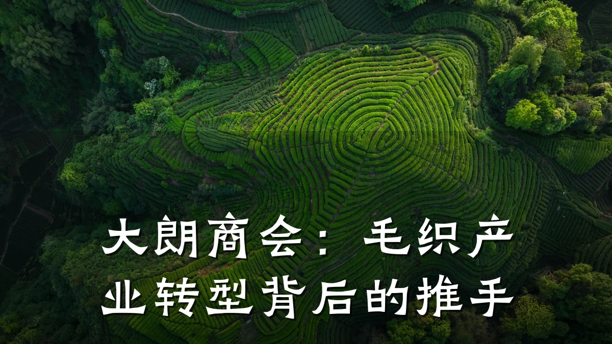 大朗商会:毛织产业转型背后的推手