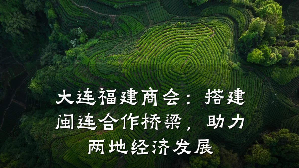 大连福建商会:搭建闽连合作桥梁,助力两地经济发展