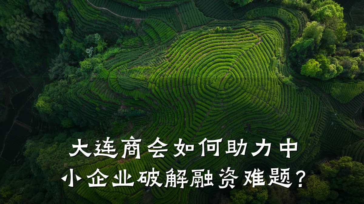 大连商会如何助力中小企业破解融资难题?