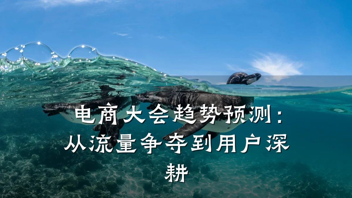 电商大会趋势预测:从流量争夺到用户深耕