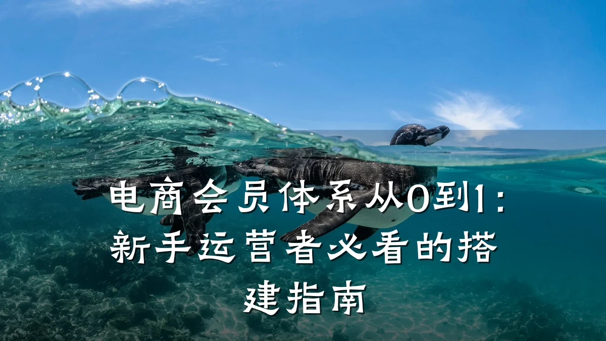 电商会员体系从0到1:新手运营者必看的搭建指南