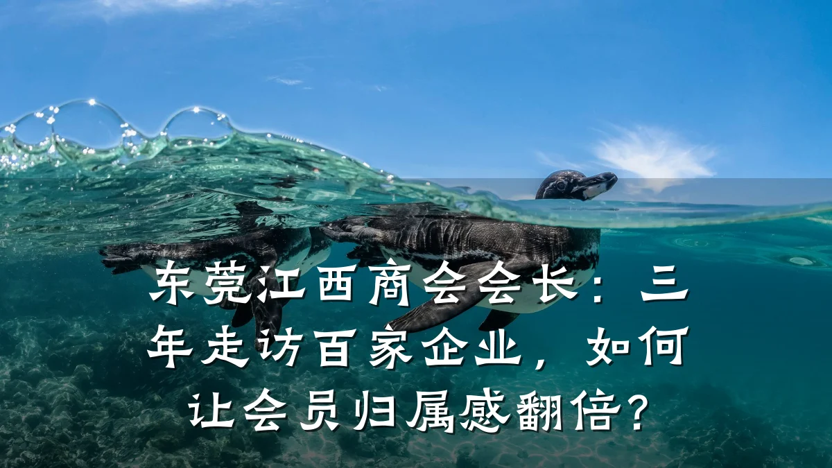 东莞江西商会会长：三年走访百家企业，如何让会员归属感翻倍？