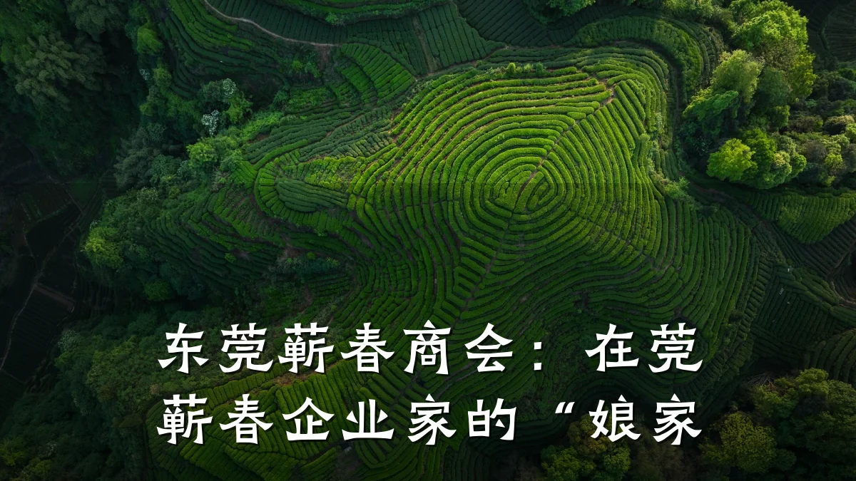 东莞蕲春商会：在莞蕲春企业家的“娘家
