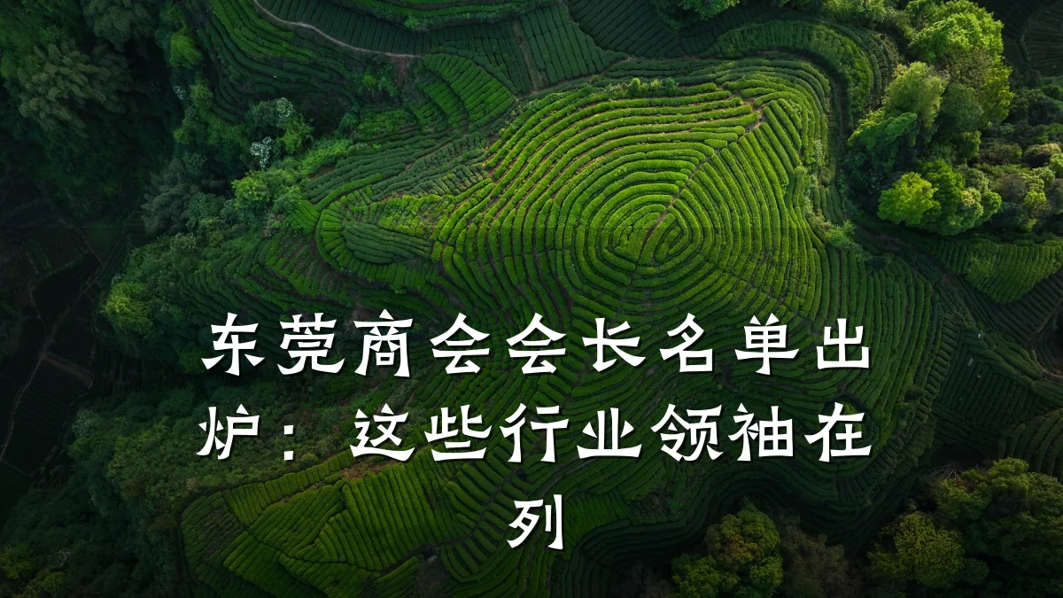 东莞商会会长名单出炉:这些行业领袖在列