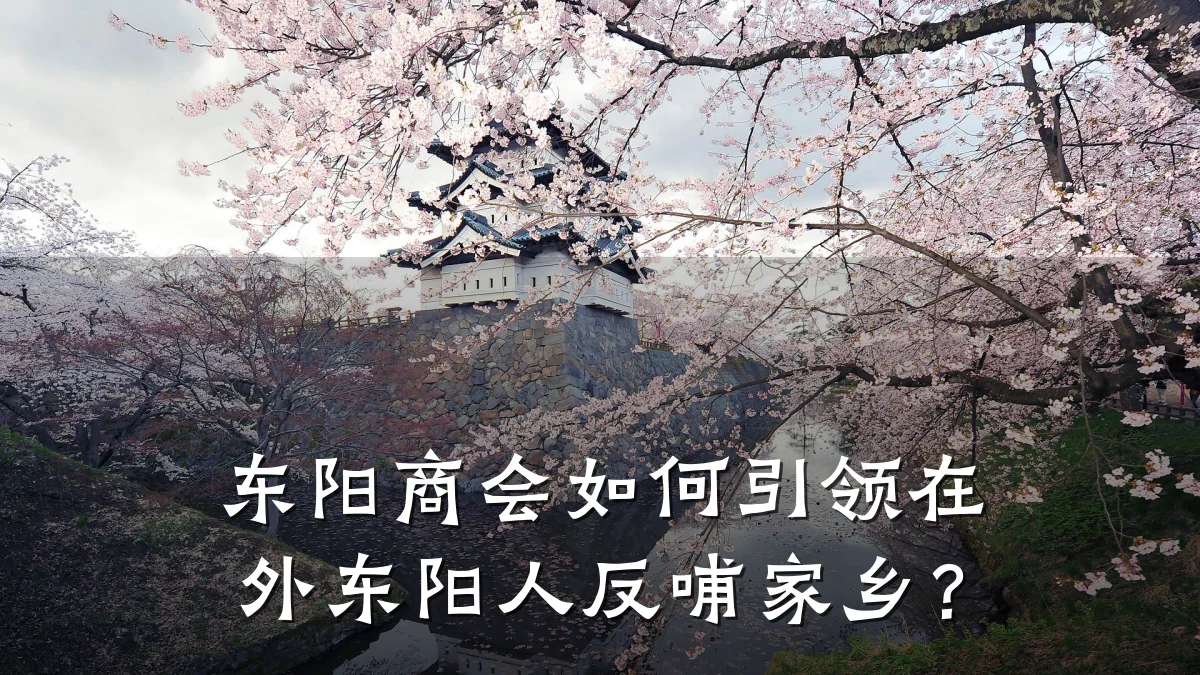 东阳商会如何引领在外东阳人反哺家乡?