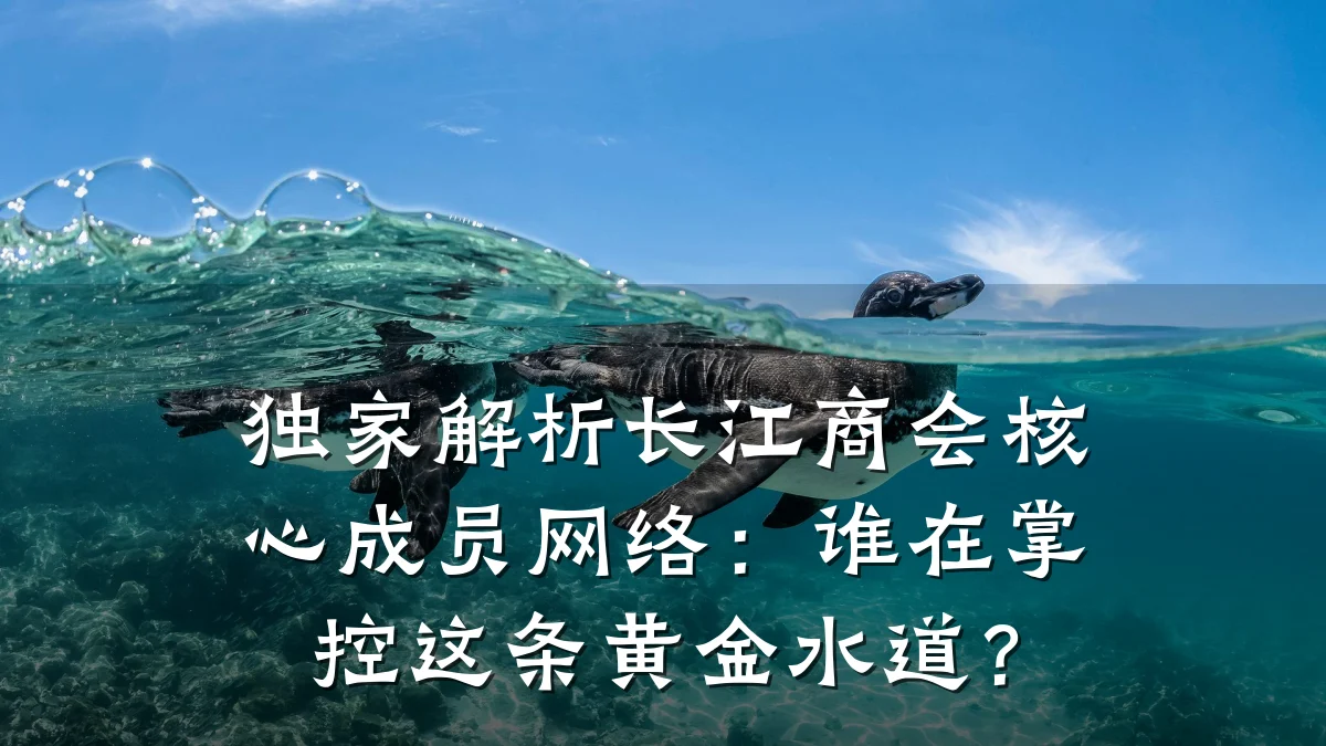 独家解析长江商会核心成员网络:谁在掌控这条黄金水道?