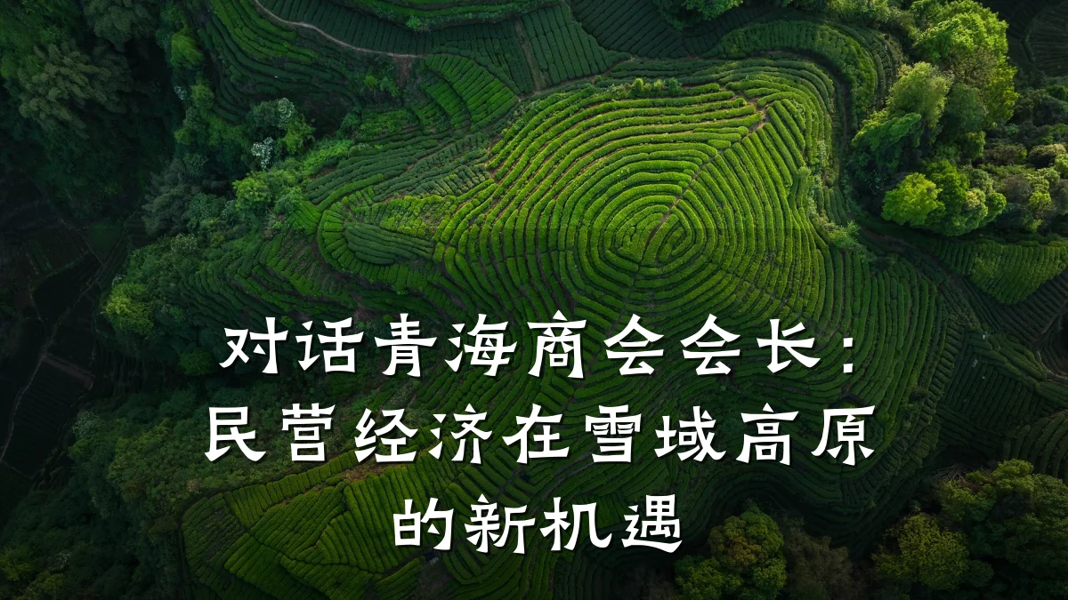 对话青海商会会长：民营经济在雪域高原的新机遇