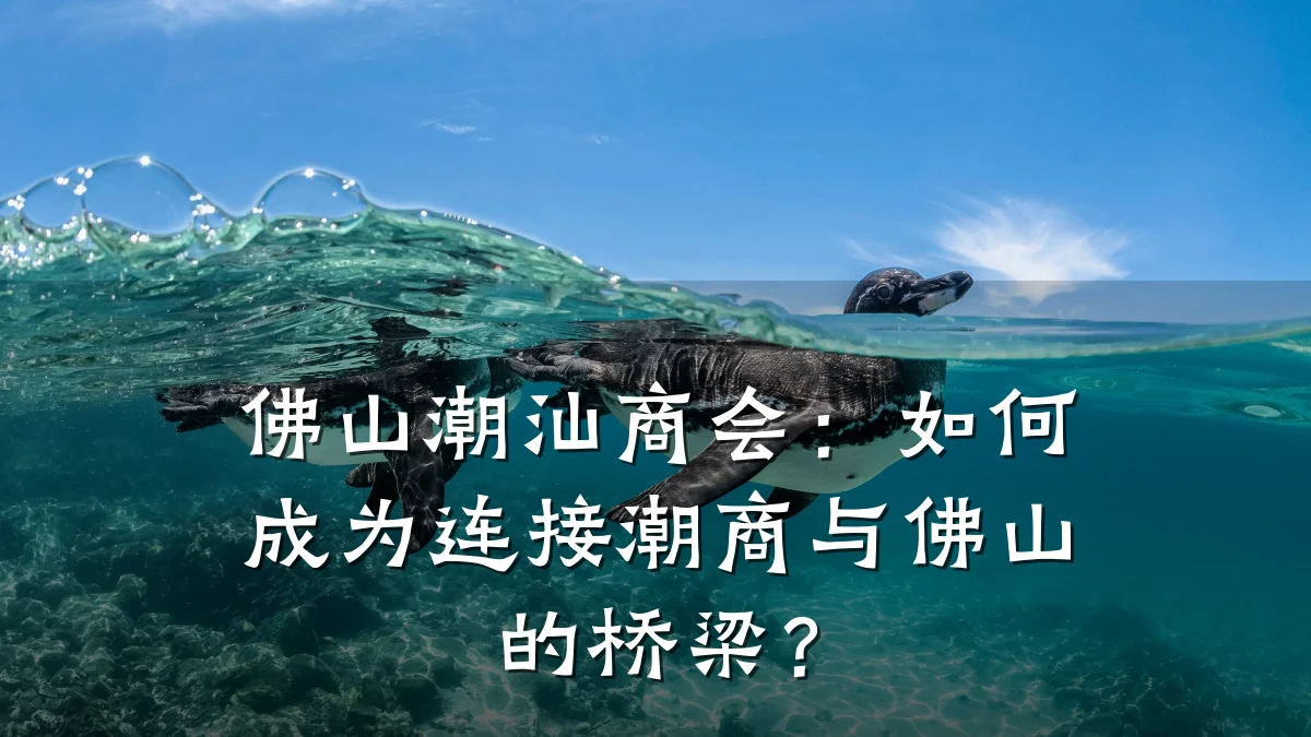 佛山潮汕商会:如何成为连接潮商与佛山的桥梁?