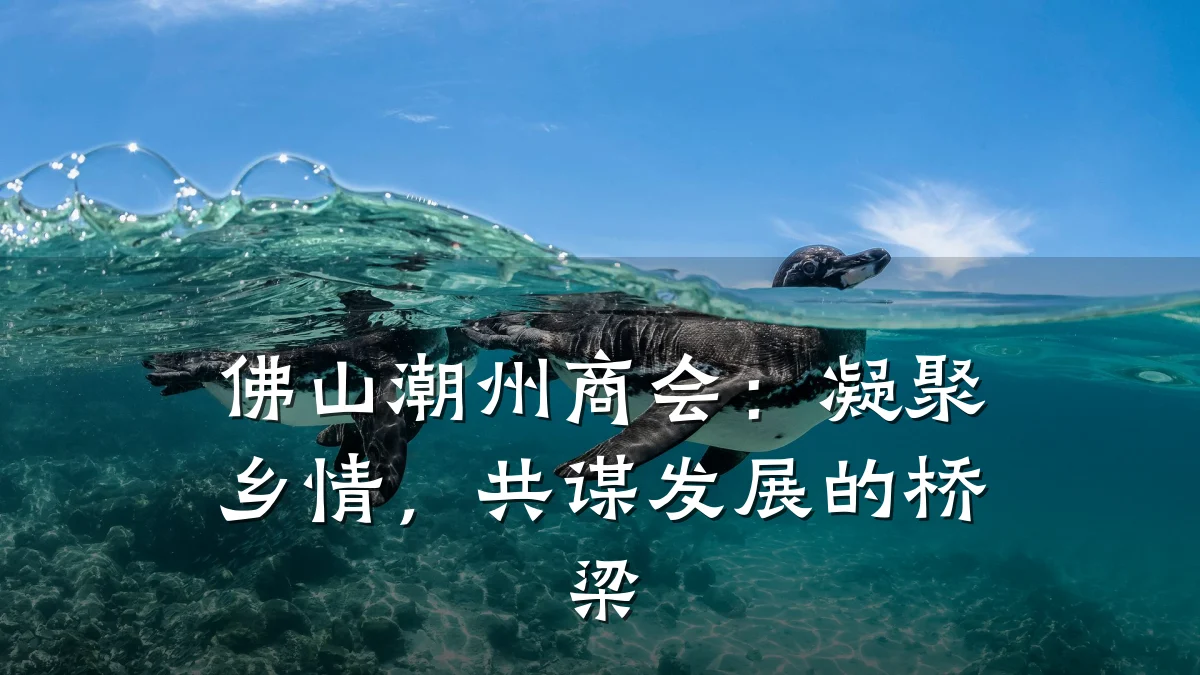 佛山潮州商会：凝聚乡情，共谋发展的桥梁