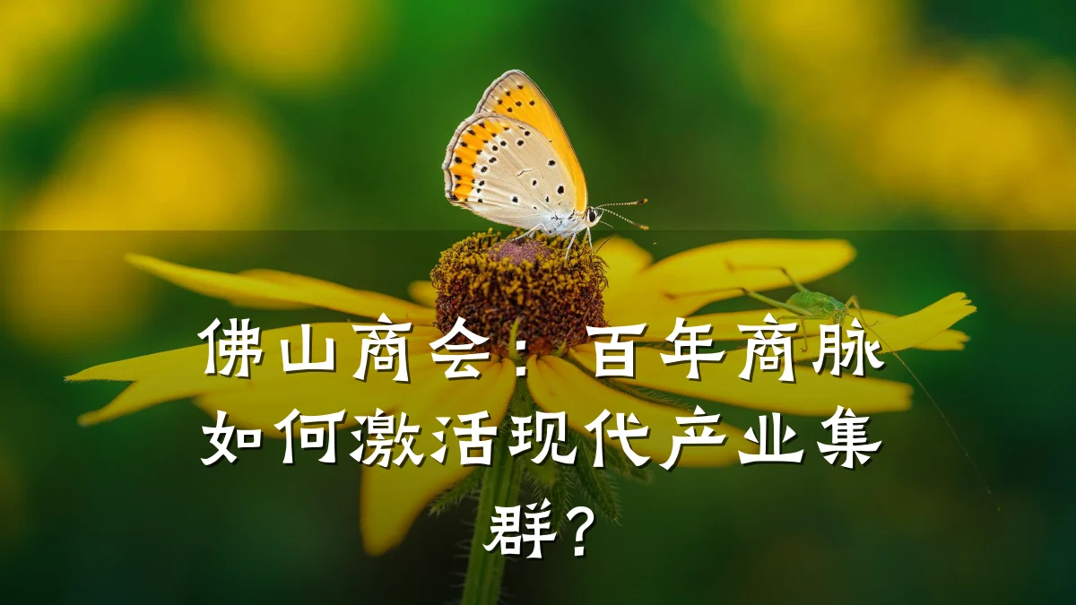 佛山商会:百年商脉如何激活现代产业集群?