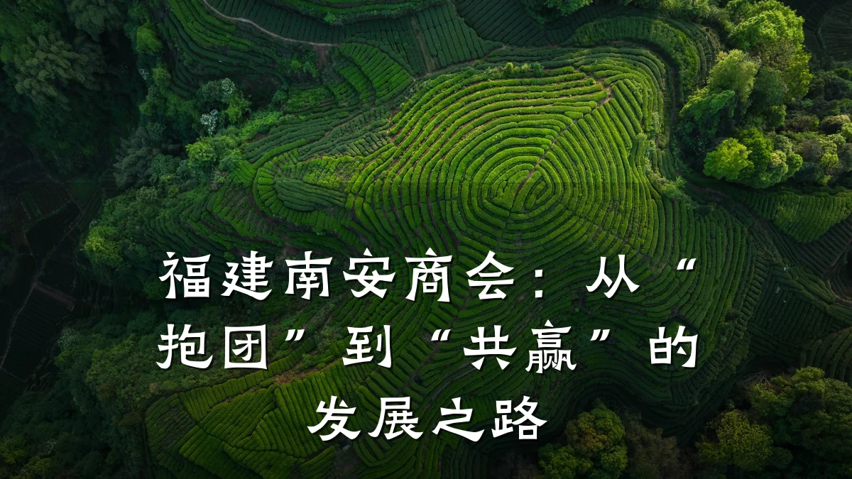 福建南安商会:从“抱团”到“共赢”的发展之路