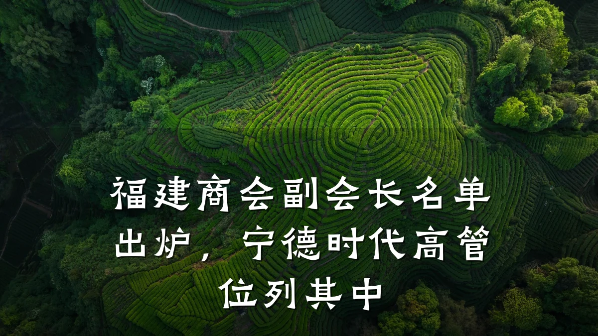 福建商会副会长名单出炉,宁德时代高管位列其中
