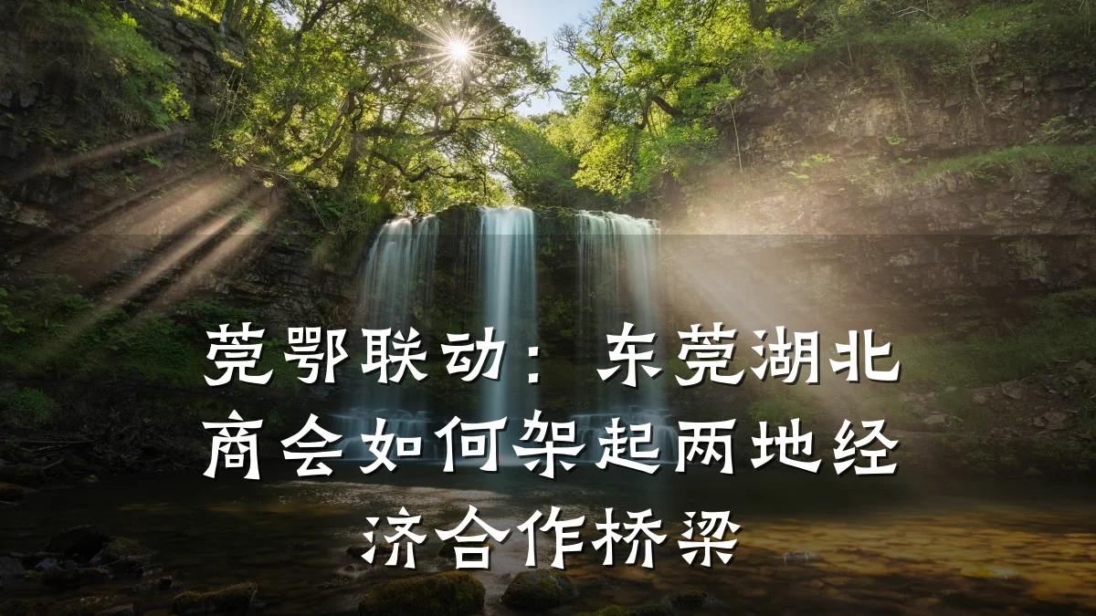 莞鄂联动:东莞湖北商会如何架起两地经济合作桥梁