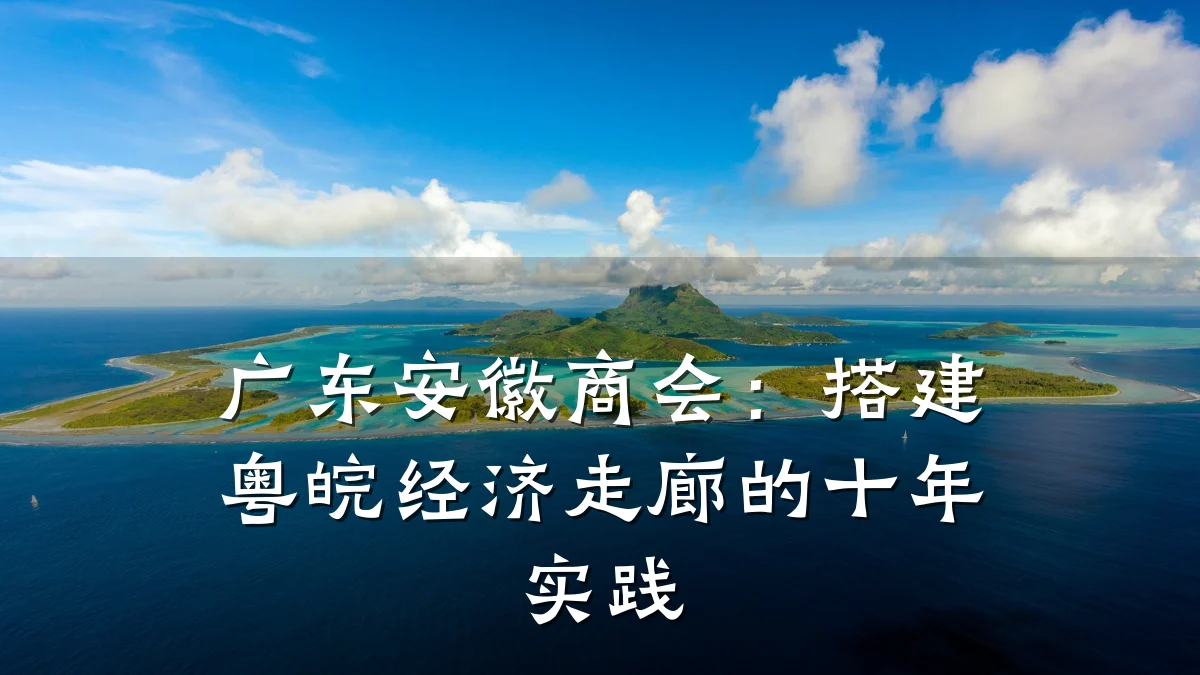 广东安徽商会:搭建粤皖经济走廊的十年实践