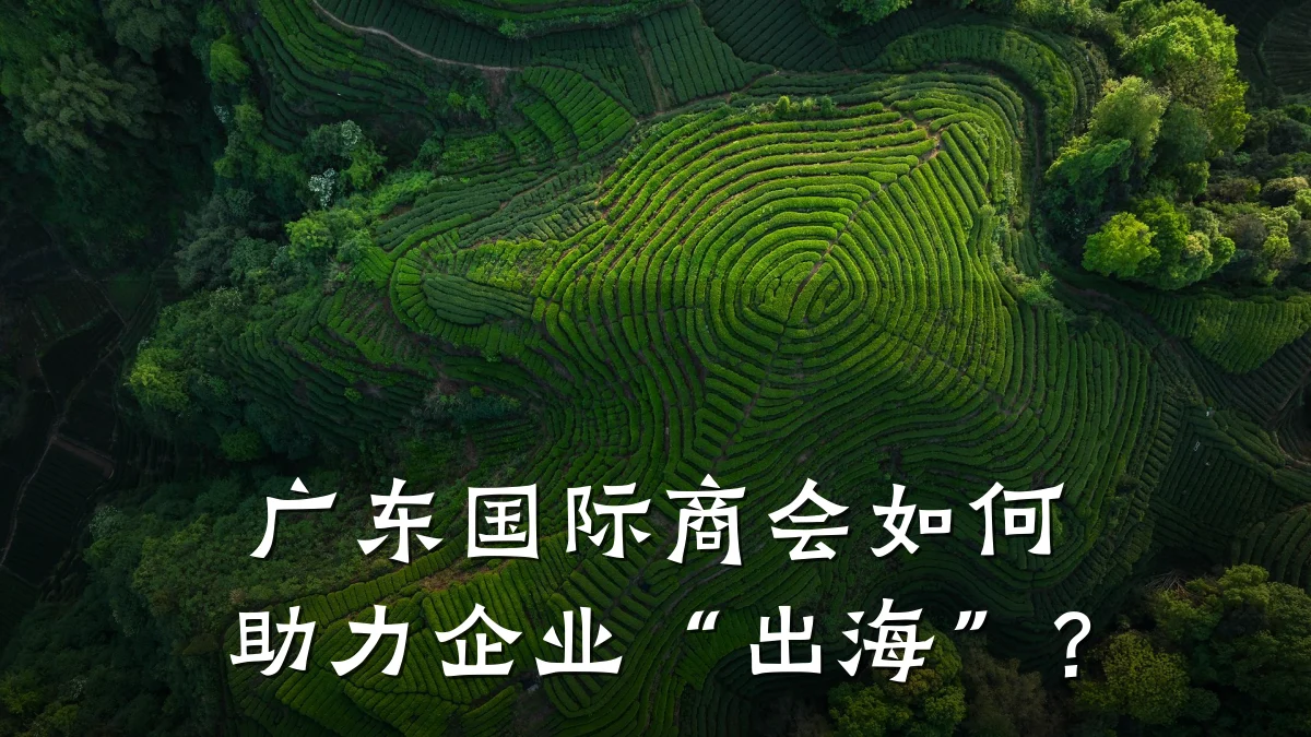 广东国际商会如何助力企业“出海”？
