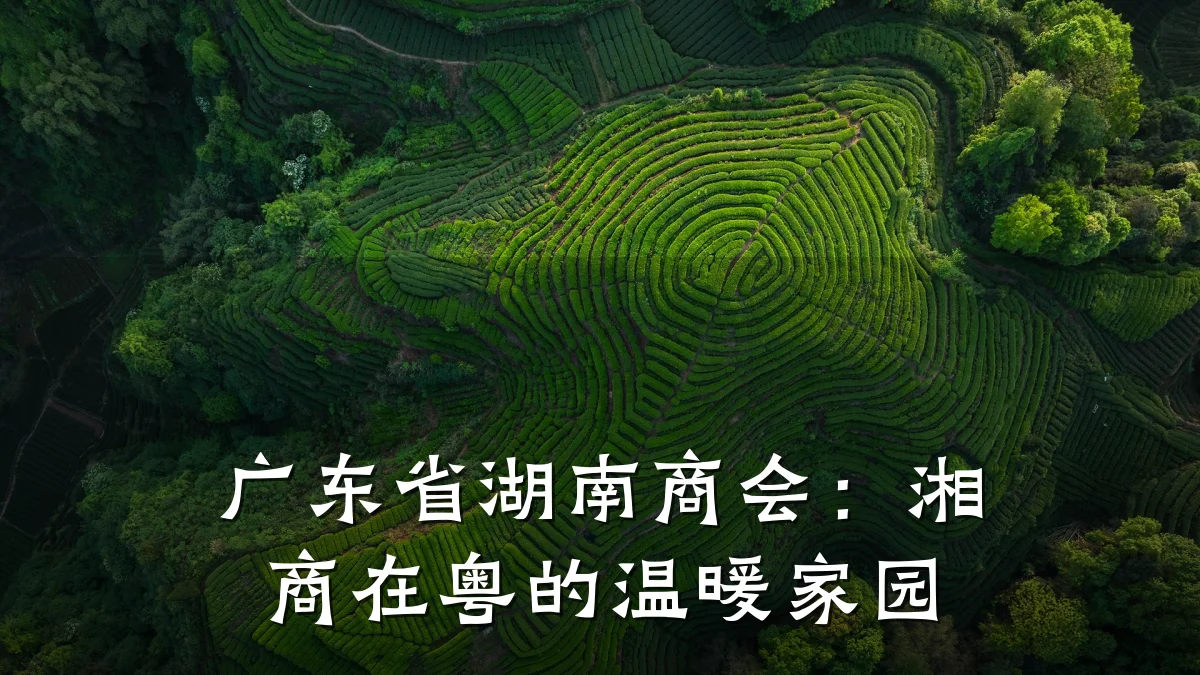 广东省湖南商会:湘商在粤的温暖家园