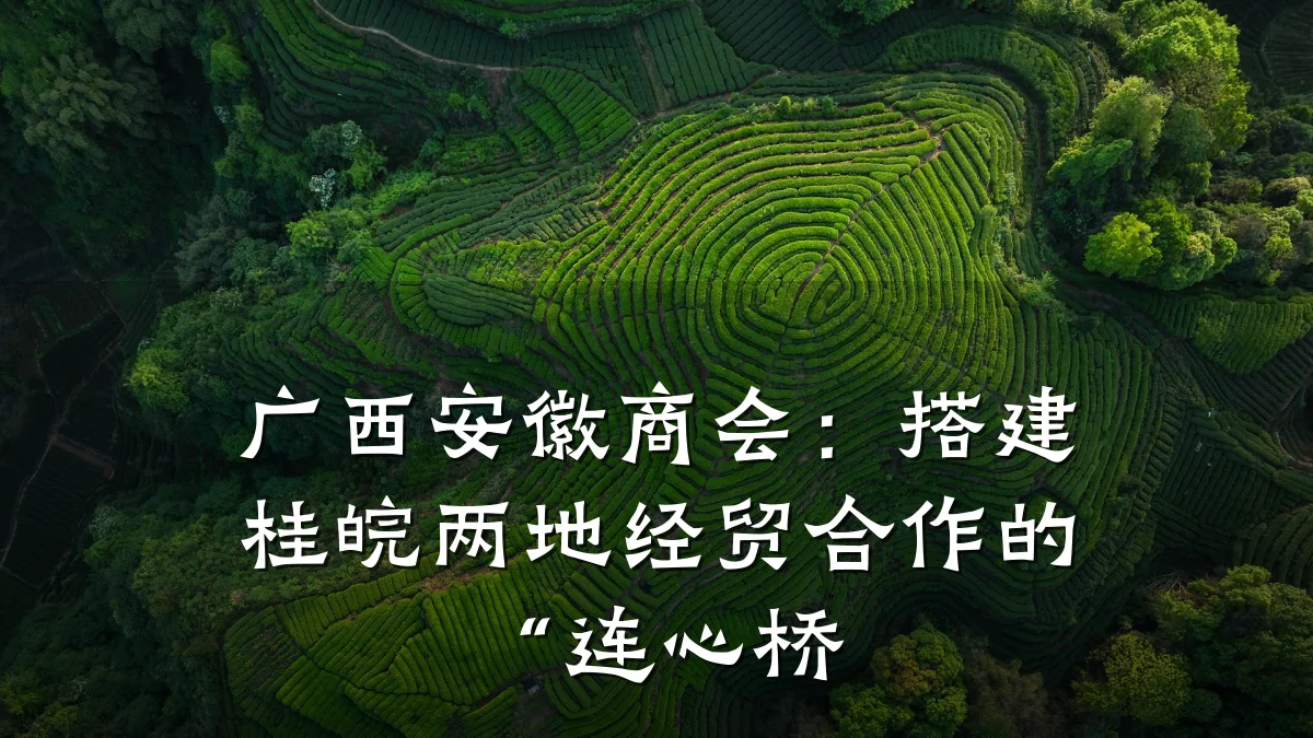 广西安徽商会：搭建桂皖两地经贸合作的“连心桥