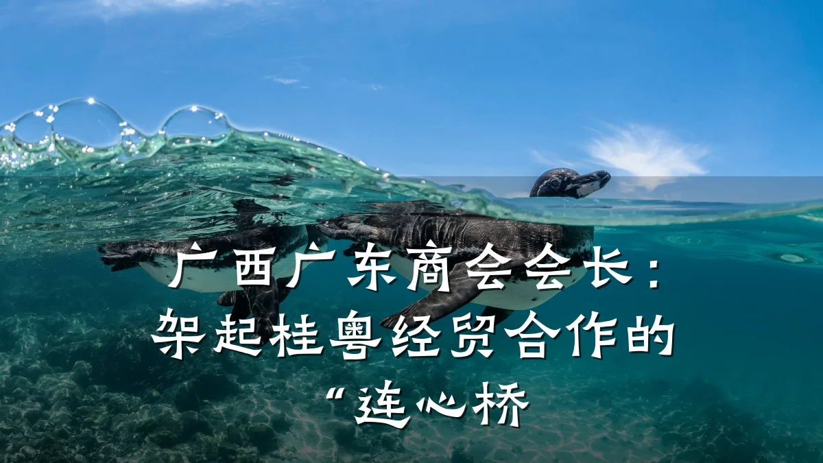 广西广东商会会长:架起桂粤经贸合作的“连心桥