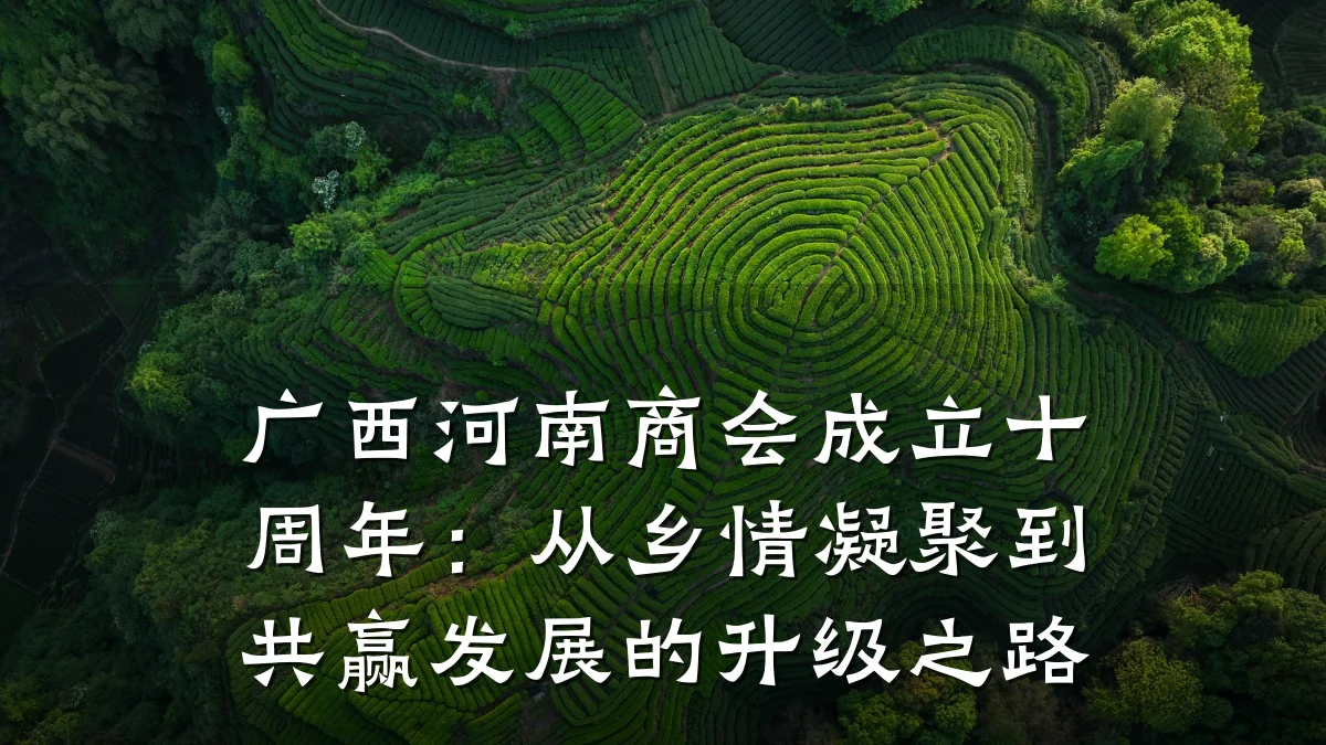 广西河南商会成立十周年:从乡情凝聚到共赢发展的升级之路
