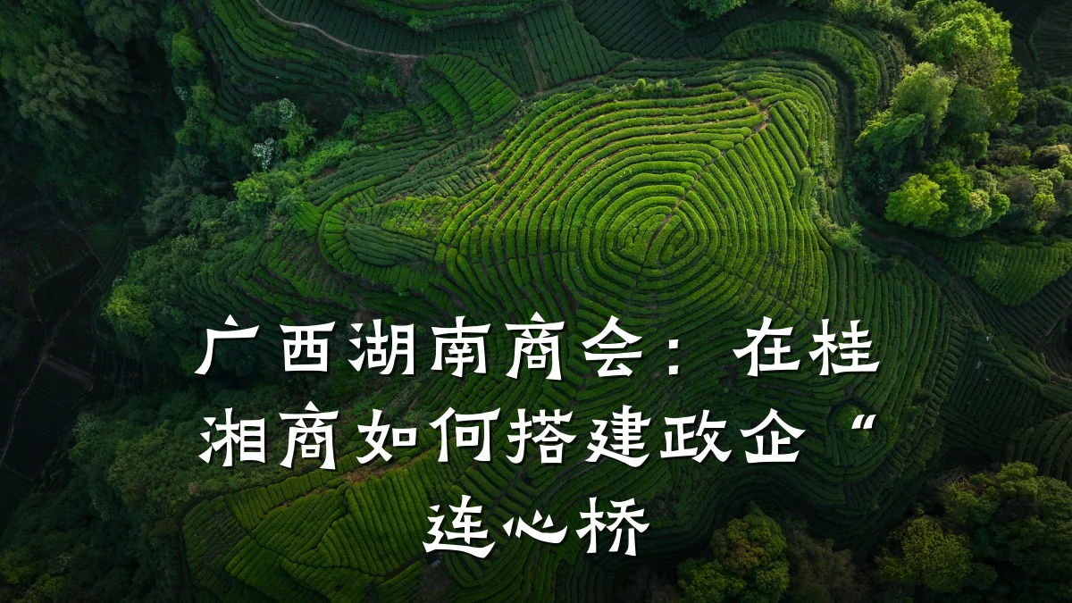 广西湖南商会:在桂湘商如何搭建政企“连心桥