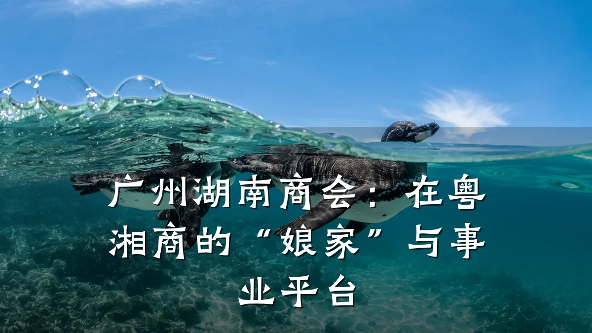 广州湖南商会:在粤湘商的“娘家”与事业平台