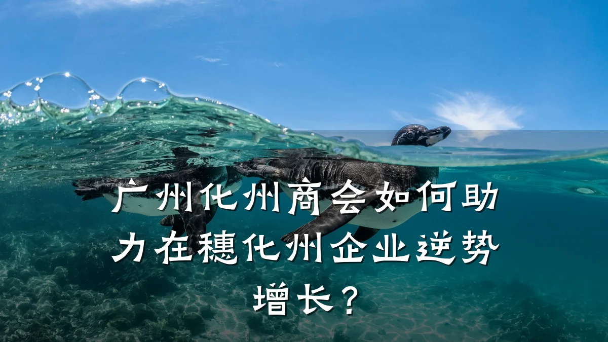 广州化州商会如何助力在穗化州企业逆势增长?