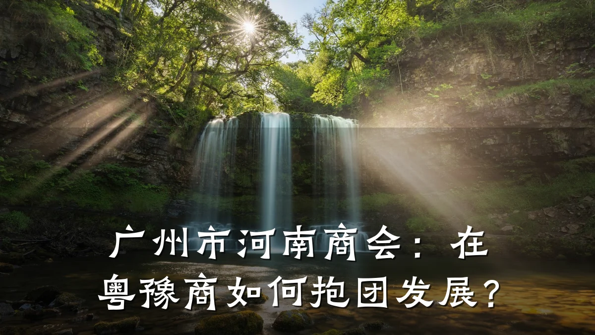 广州市河南商会:在粤豫商如何抱团发展?