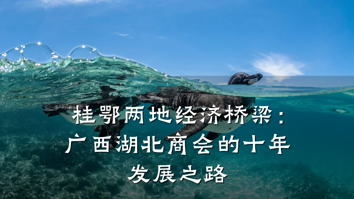 桂鄂两地经济桥梁：广西湖北商会的十年发展之路