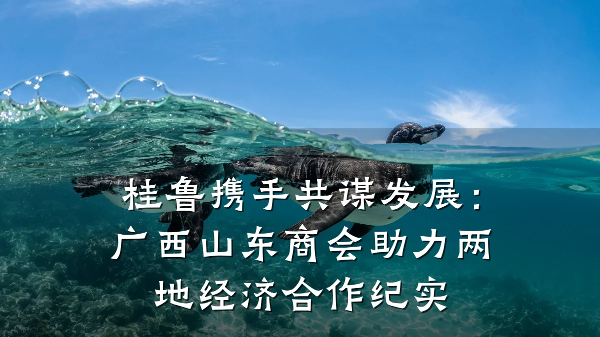 桂鲁携手共谋发展:广西山东商会助力两地经济合作纪实
