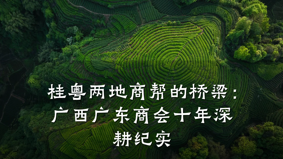 桂粤两地商帮的桥梁:广西广东商会十年深耕纪实