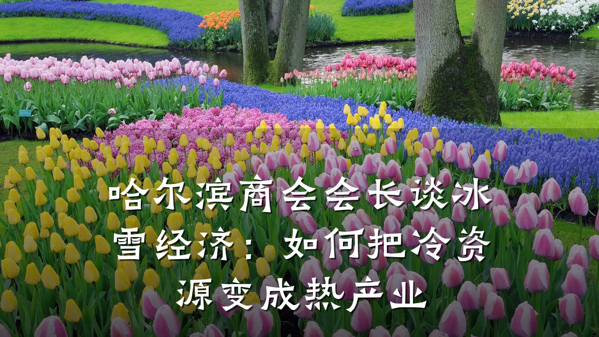 哈尔滨商会会长谈冰雪经济：如何把冷资源变成热产业