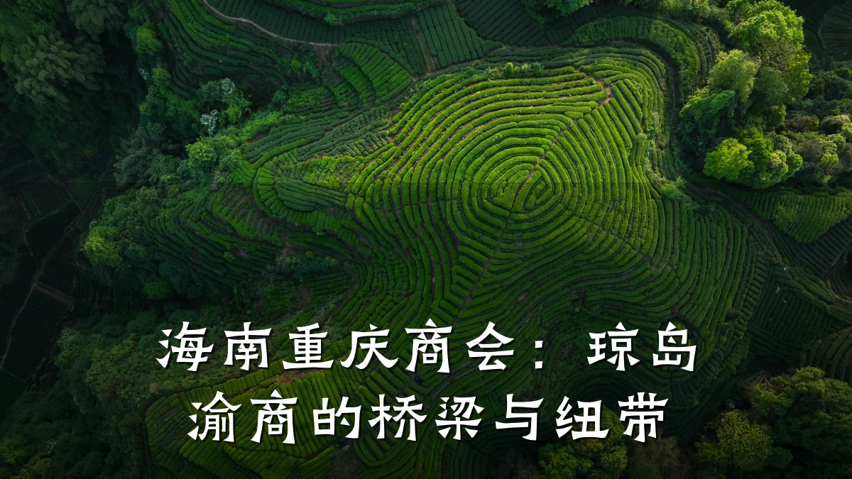 海南重庆商会：琼岛渝商的桥梁与纽带