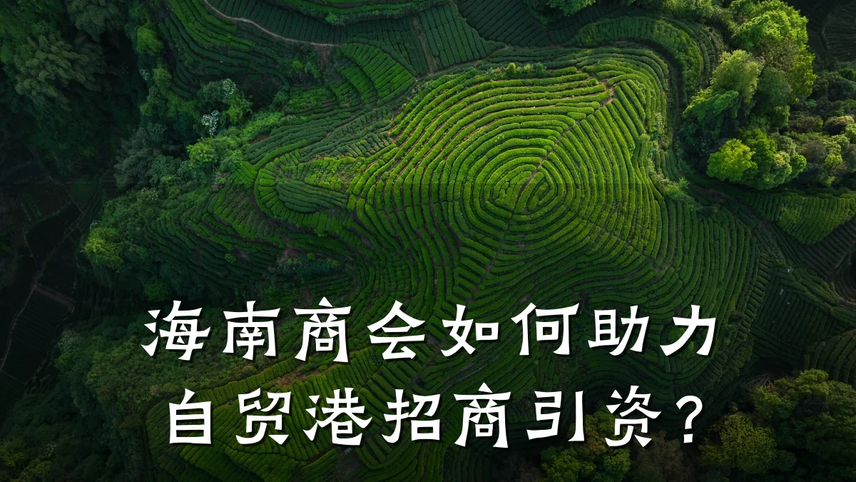 海南商会如何助力自贸港招商引资？