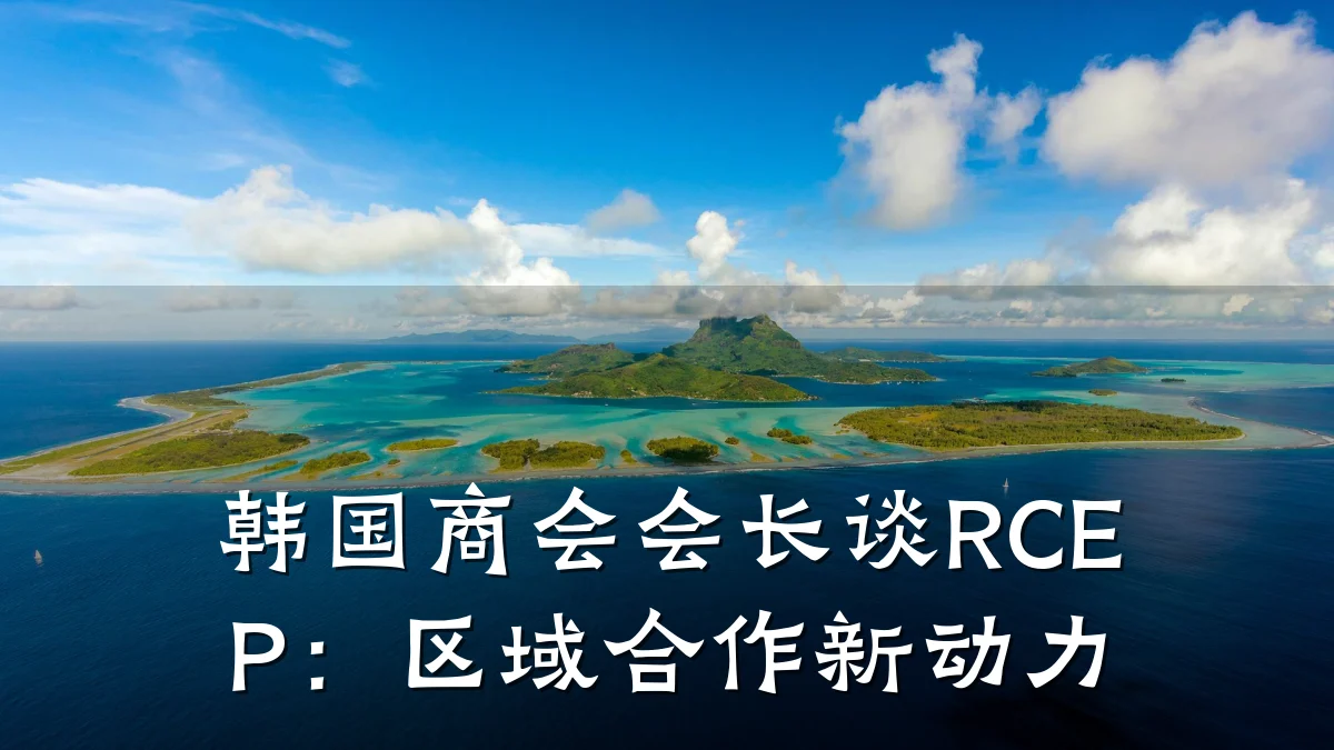 韩国商会会长谈RCEP:区域合作新动力