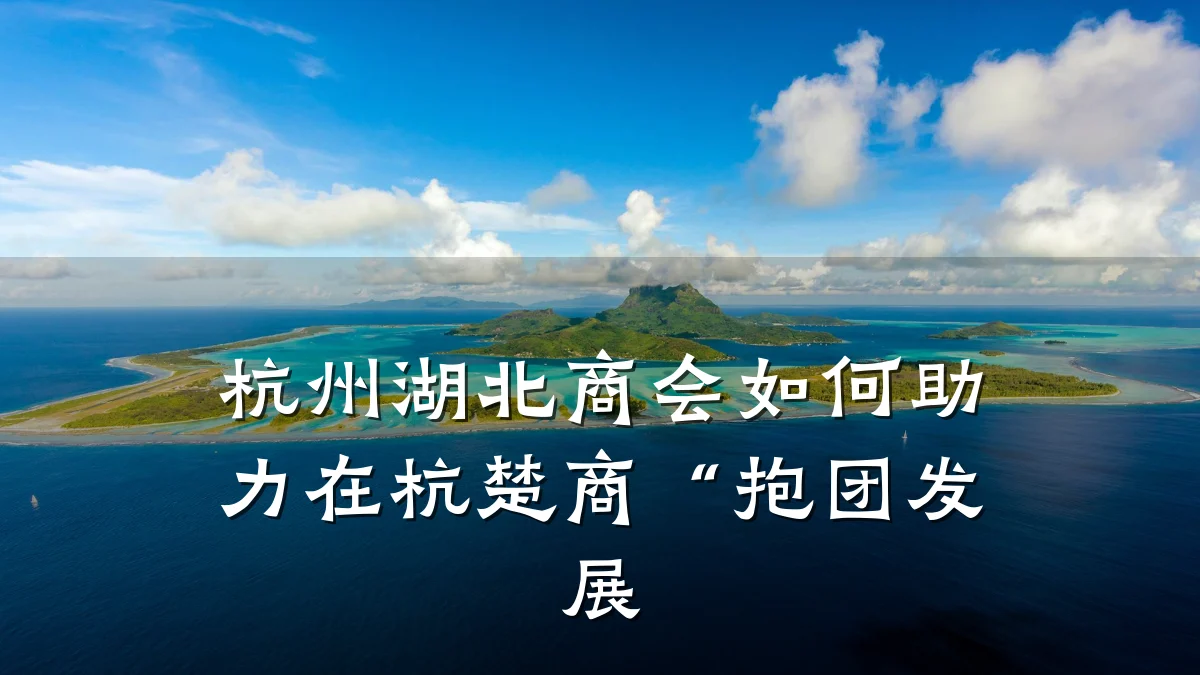 杭州湖北商会如何助力在杭楚商“抱团发展