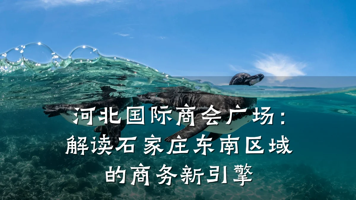 河北国际商会广场:解读石家庄东南区域的商务新引擎