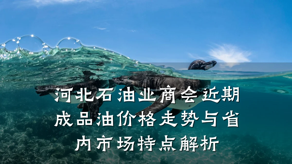河北石油业商会近期成品油价格走势与省内市场特点解析