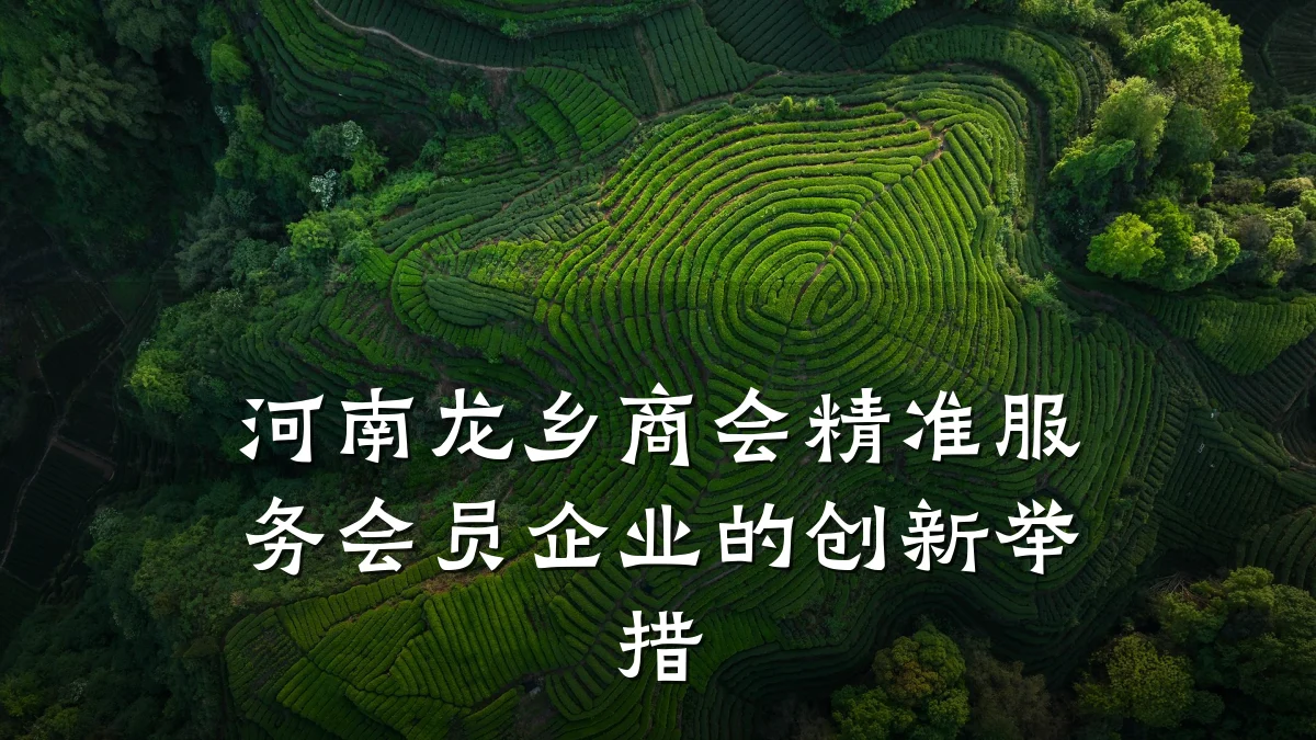河南龙乡商会精准服务会员企业的创新举措