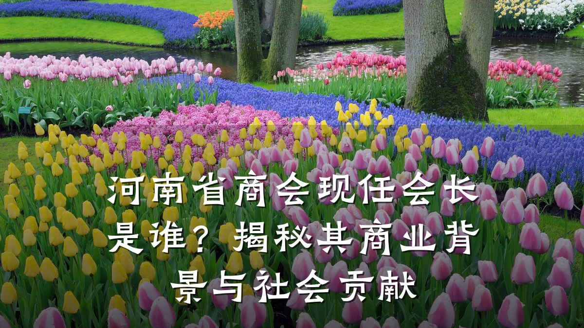 河南省商会现任会长是谁?揭秘其商业背景与社会贡献