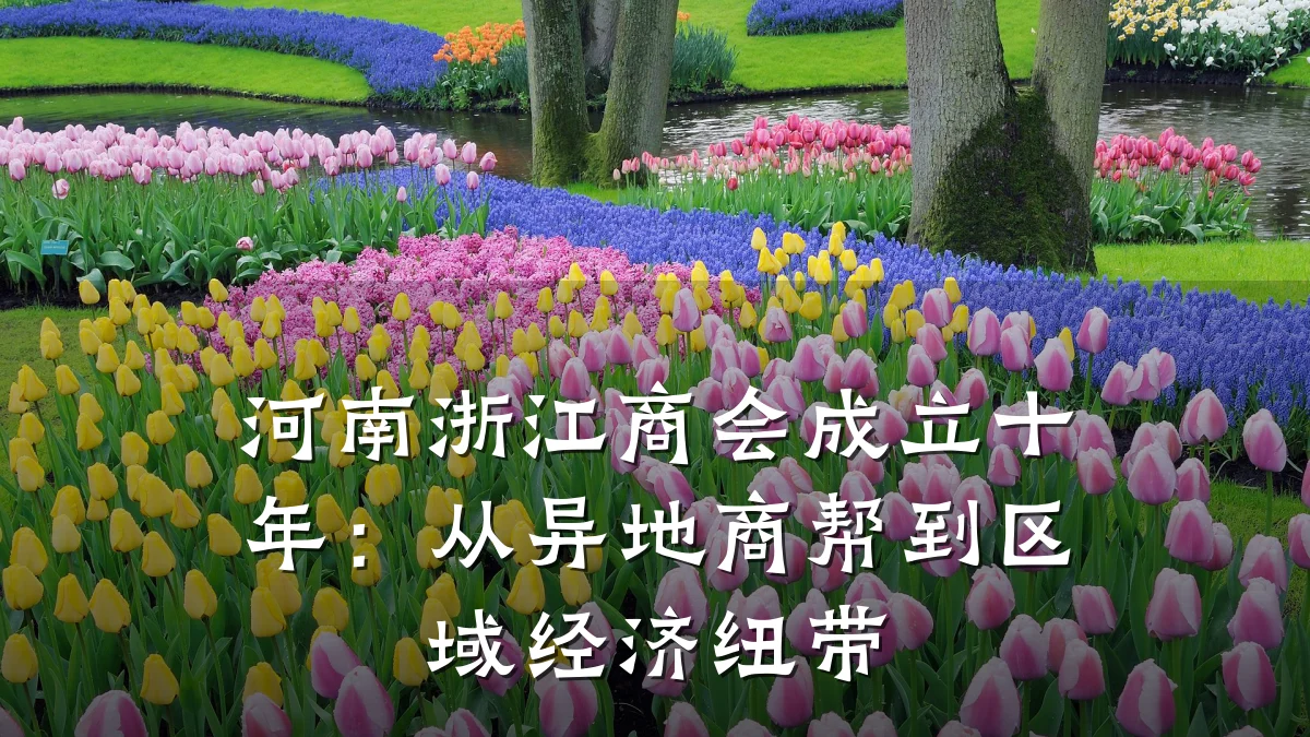 河南浙江商会成立十年:从异地商帮到区域经济纽带