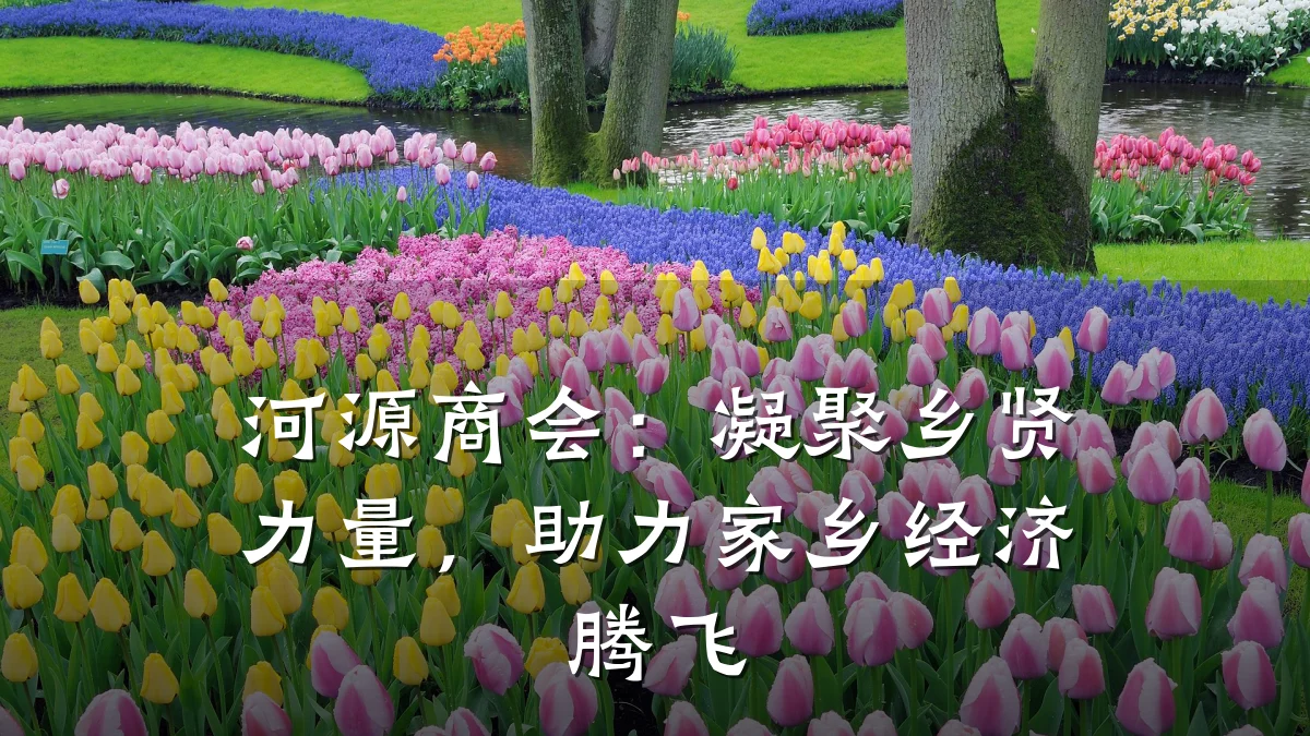 河源商会:凝聚乡贤力量,助力家乡经济腾飞