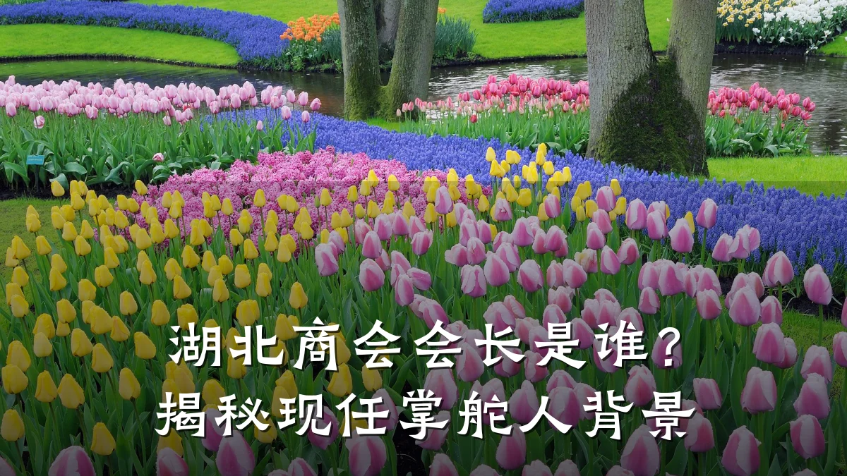 湖北商会会长是谁?揭秘现任掌舵人背景