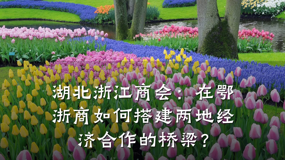 湖北浙江商会:在鄂浙商如何搭建两地经济合作的桥梁?
