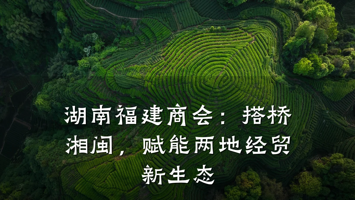 湖南福建商会:搭桥湘闽,赋能两地经贸新生态