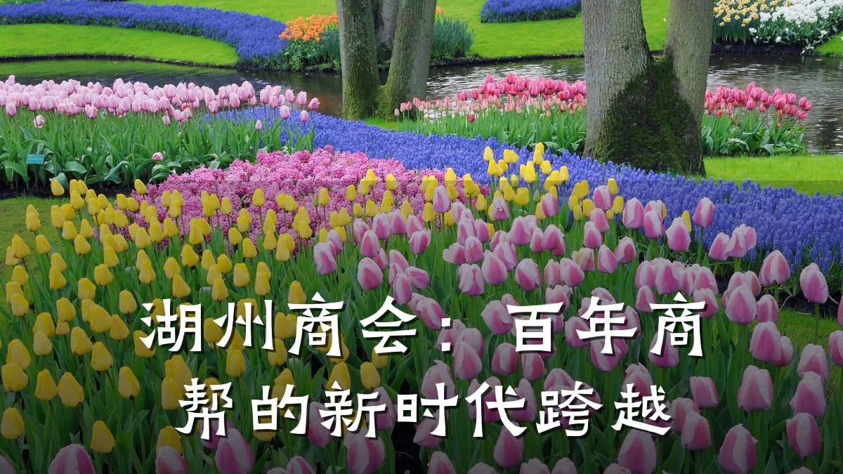 湖州商会:百年商帮的新时代跨越