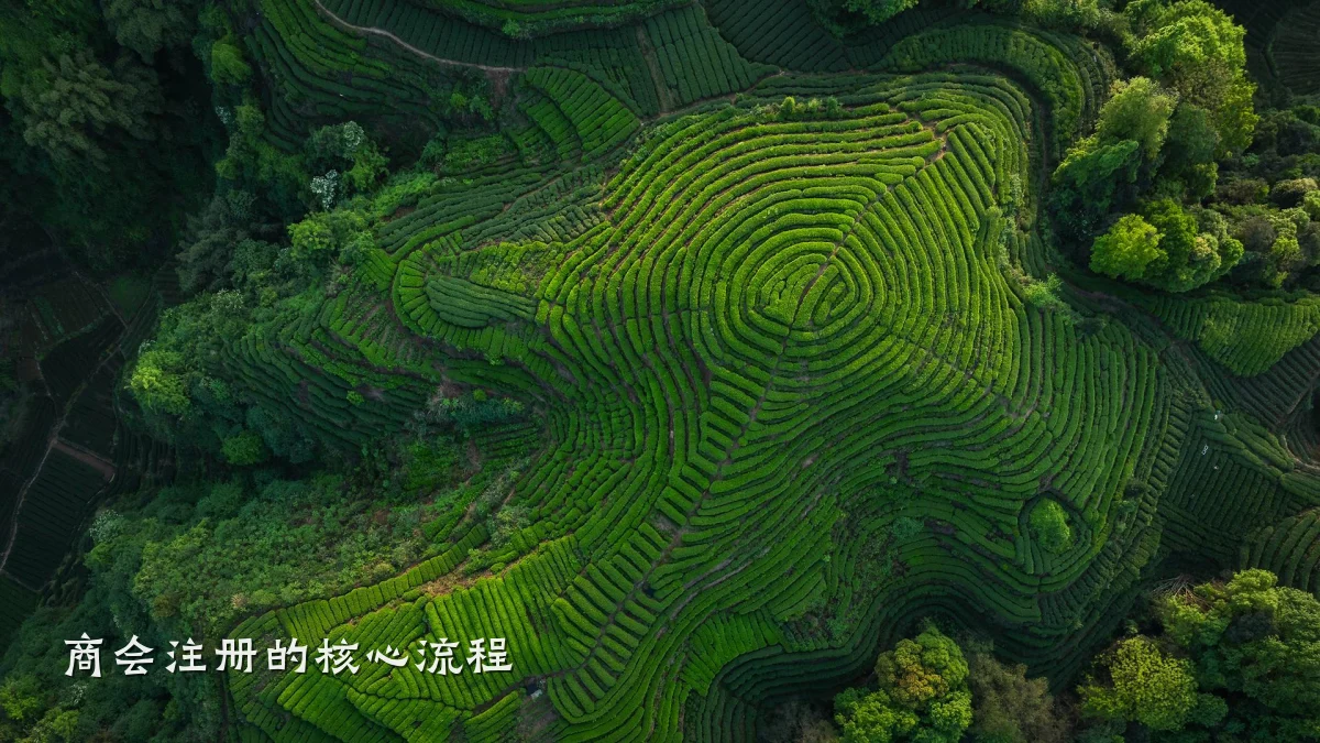 商会注册的核心流程