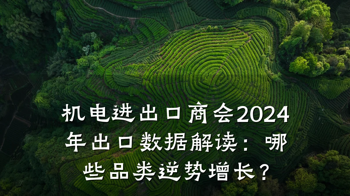 机电进出口商会2024年出口数据解读:哪些品类逆势增长?