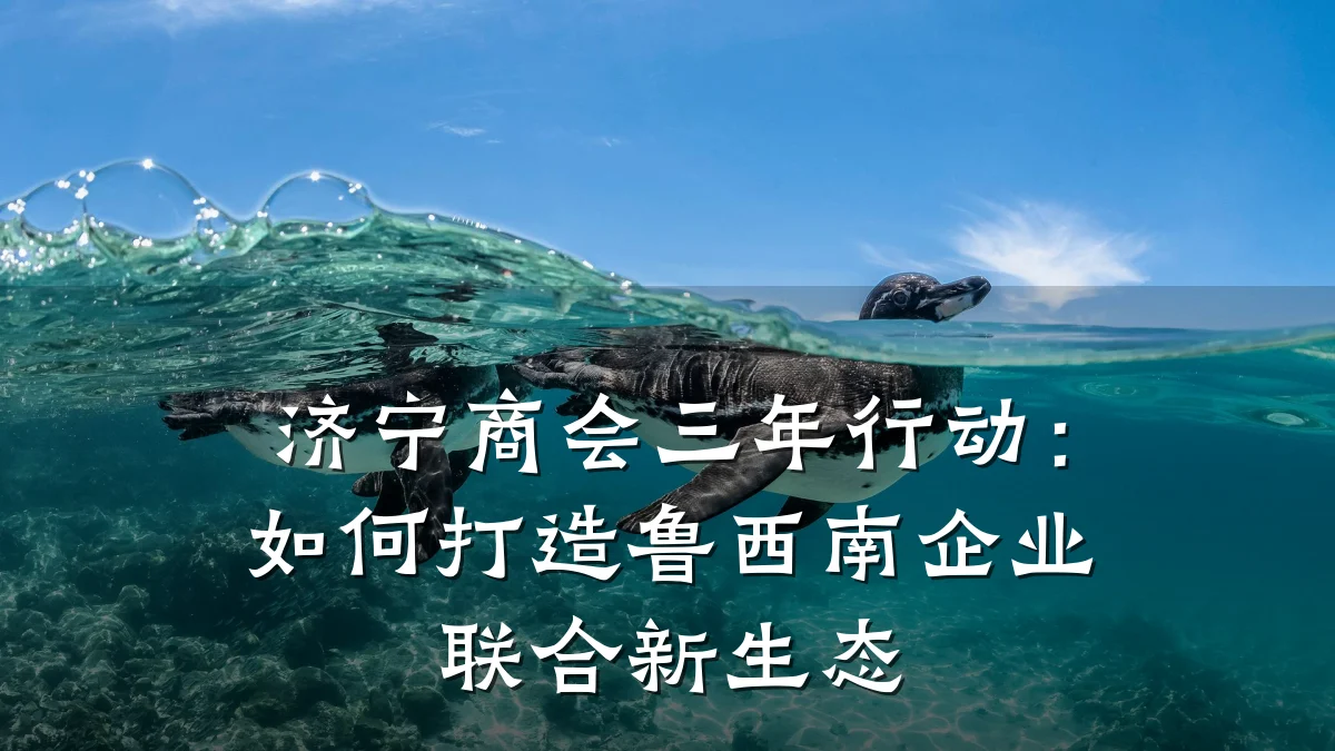 济宁商会三年行动:如何打造鲁西南企业联合新生态