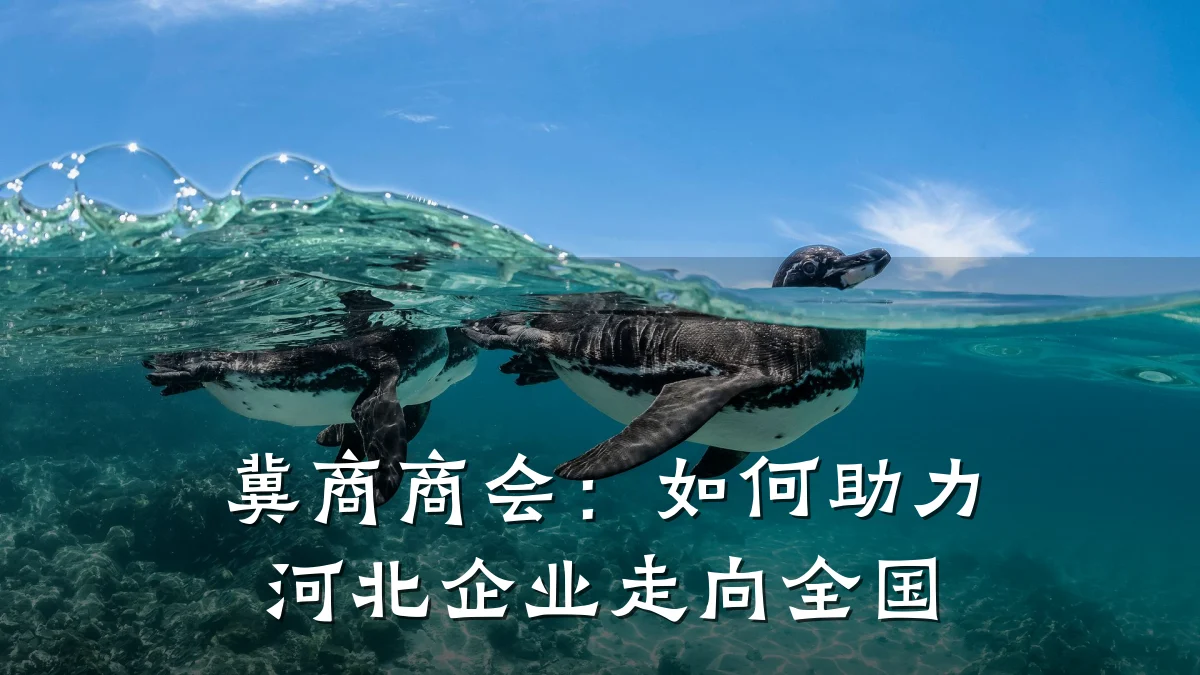冀商商会:如何助力河北企业走向全国